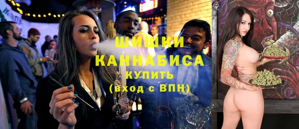 твердый Елизово