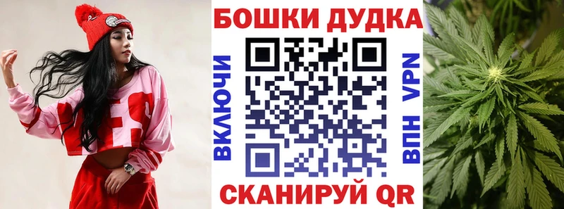 Бошки марихуана MAZAR  наркотики  Западная Двина 
